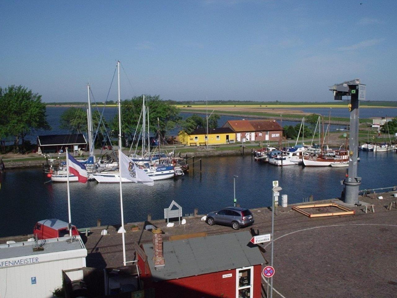 Lachmöwe Orth Exterior foto